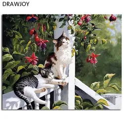 Drawjoy Животные кошки фотография живопись и каллиграфия DIY живопись по номерам Раскраска по номерам домашнего декора