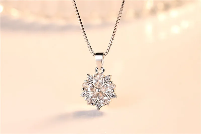 9061818895_248682925_