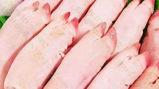Промышленная гильотина для мяса машина резки костей костной пилы|meat machine|meat bone