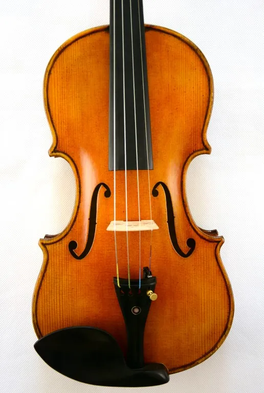 Горд скрипка Guarneri 1743 Cannone скрипка удивительный звуконечный инструмент