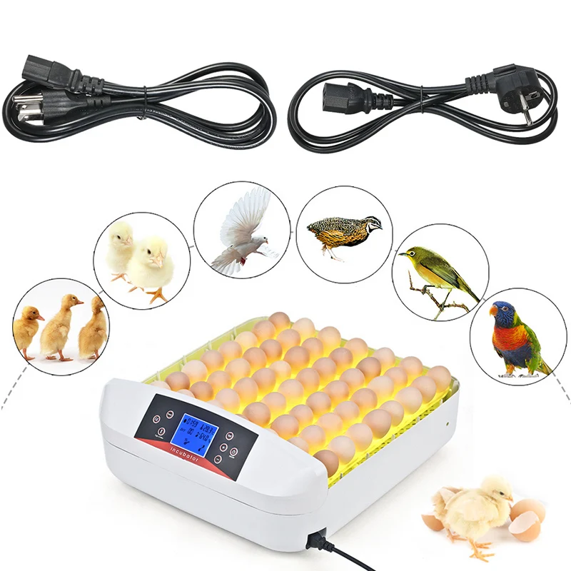 56 Eggs Full-automatic Egg Incubator Hatcher Temperature Control Egg Hatching Machine For Duck Turtle Bird Eggs Incubation 56 Eggs Full-automatic Egg Incubator Hatcher Temperature Control Egg Hatching Machine For Duck Turtle Bird Eggs Incubation