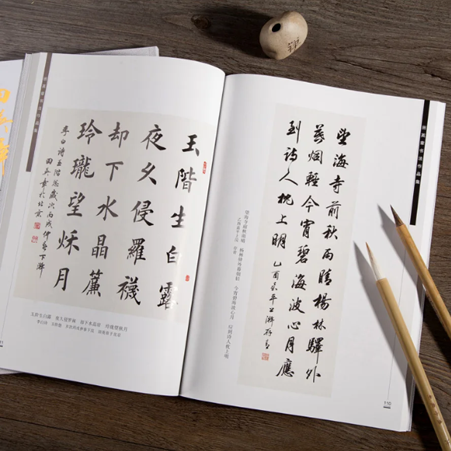 Encyclopedia of Chinese Calligraphy famous Copybook by Tian