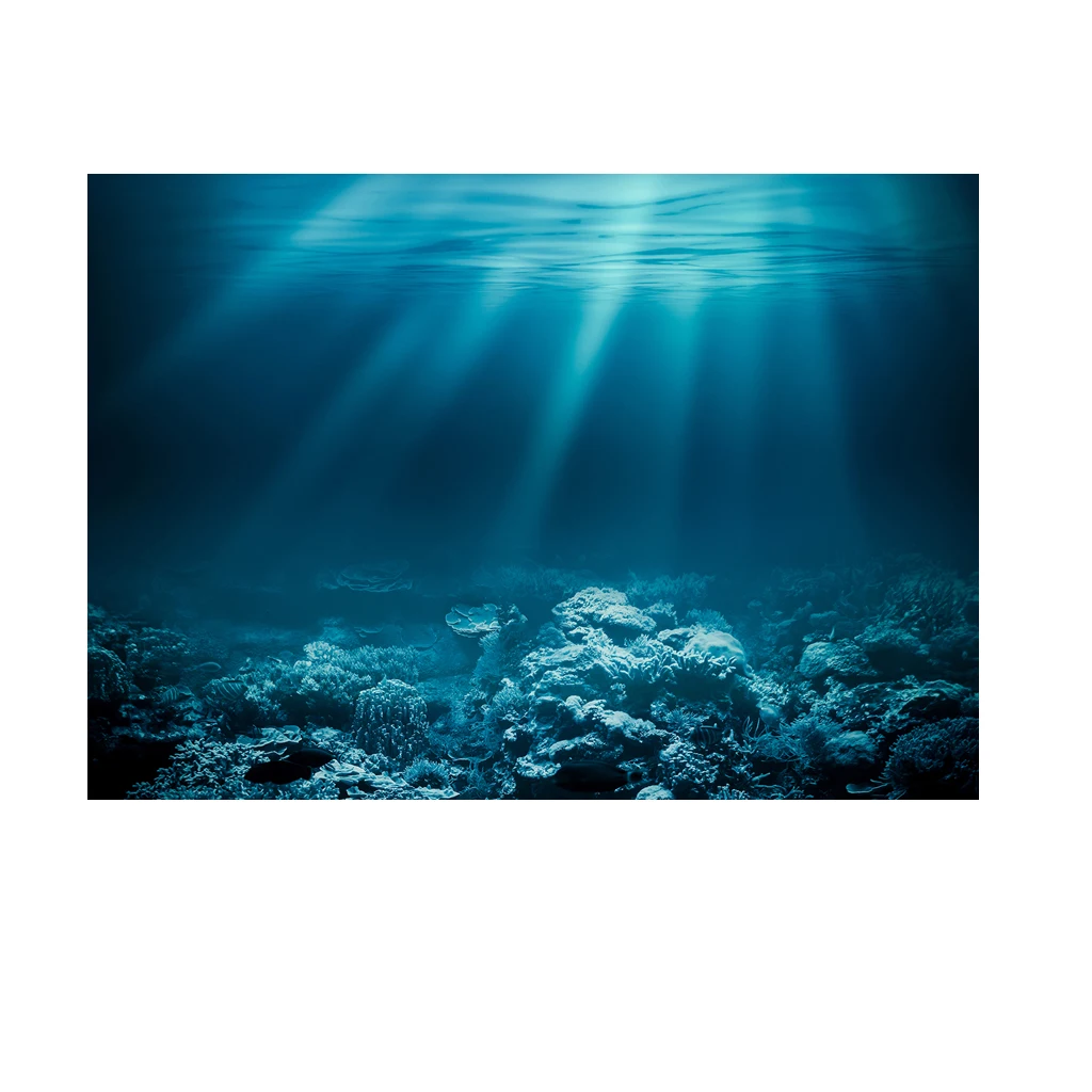 

3D Wall Sticker Art Decor Poster Undersea Decorative Aquarium 3D Background Sticker Fish Tank Wall Decoration Painting PVC