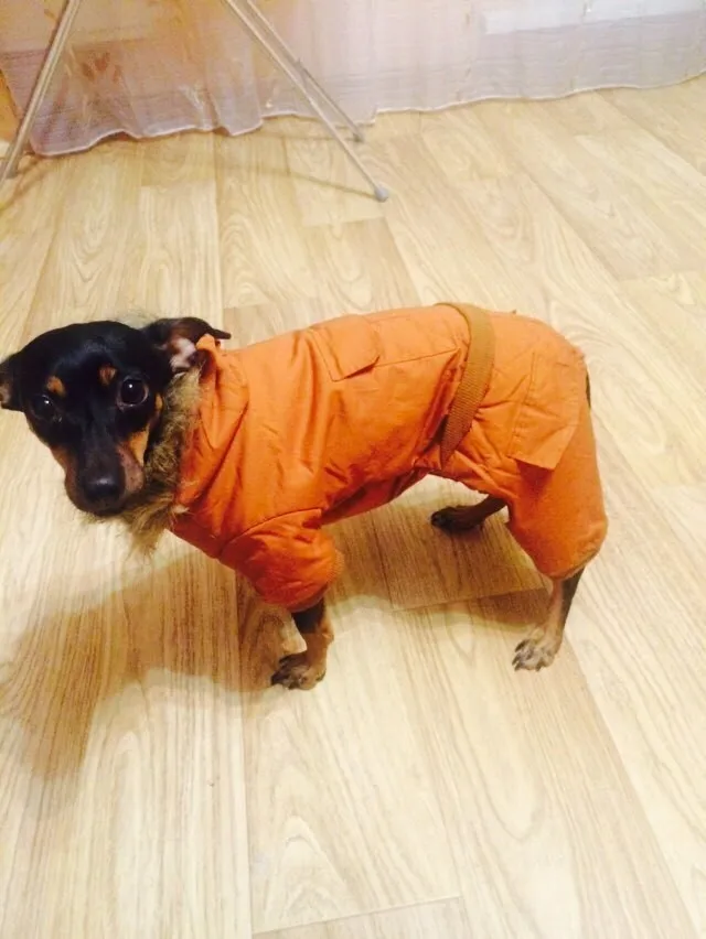 UT84ULlXtNaXXagOFbXH