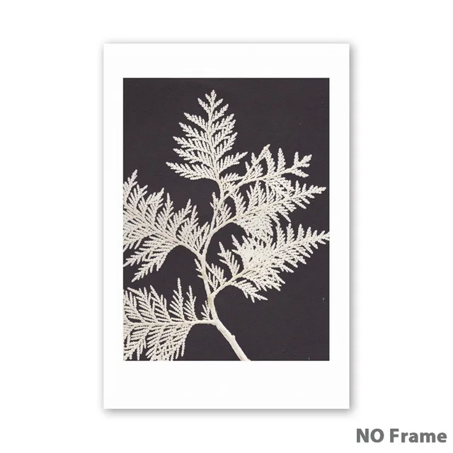 07G-Retro-Plant-Leaf-Specimen-A4-A3-A2-Canvas-Painting-Posters-And-Prints-Home-Art-Pictures.jpg_640x640 (8)