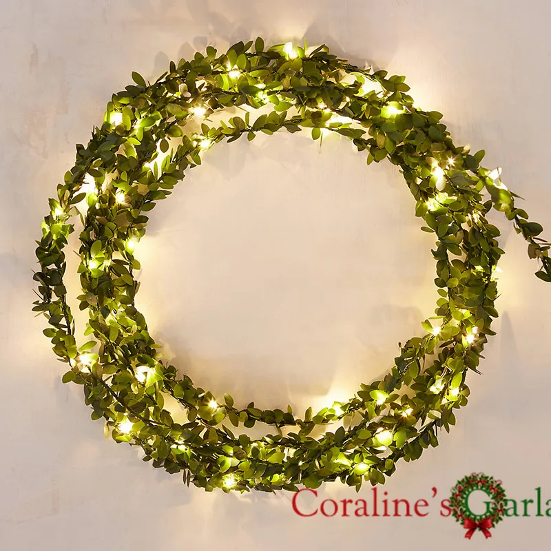 String  Lights (2)
