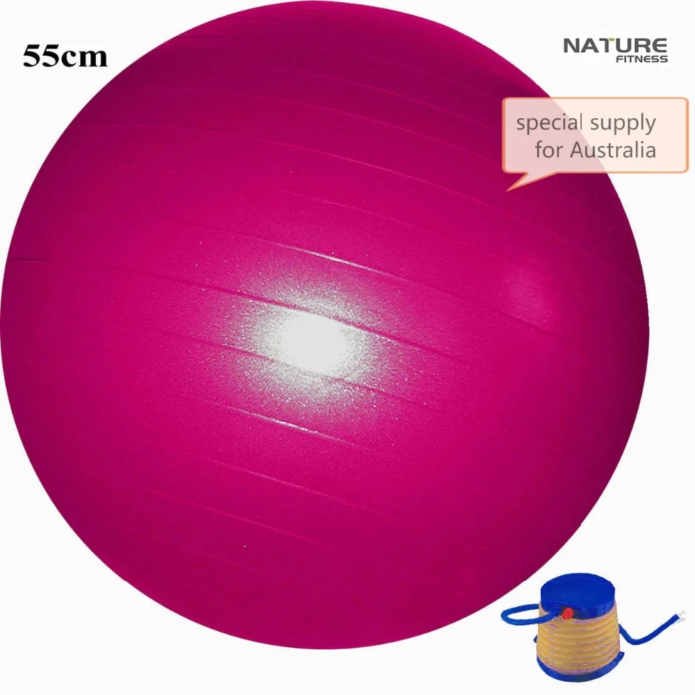 55CM Home Exercise Workout Fitness Yoga Ball For Weight Lose Exercise