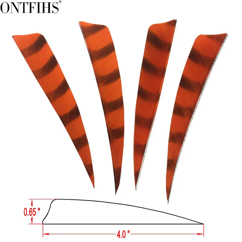 Fleche Arc PATIKIL Plumes De Flèche 50 Pcs 5 Pouces Flèche Plume