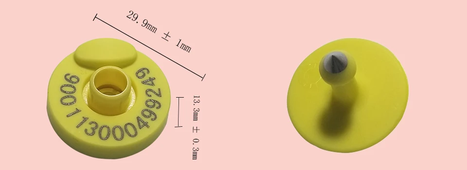 HTB1UhlnlBsmBKNjSZFFq6AT9VXa2