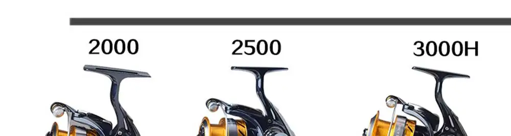 3722493727_1717404706_02