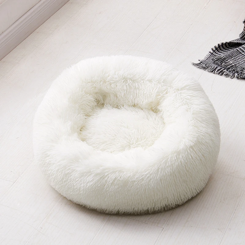 DN0702W (1)