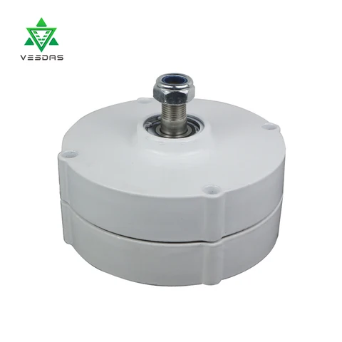Horizontal da C.a. de Faça Mesmo da Turbina m da C.a. do Gerador do Ímã de 100 v para o Alternador Permanente 12 v ou 24 Vertical Você Eólica 600r – w