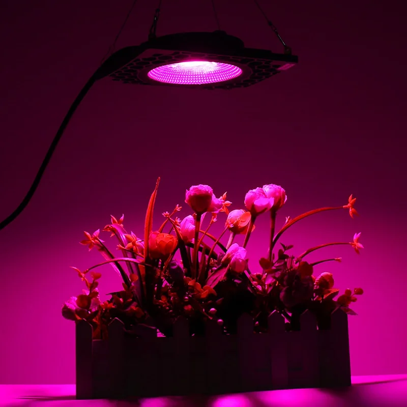 1000 Вт COB светодиодный свет для выращивания полного спектра светодиодный светильник для выращивания растений водонепроницаемый для растительного цветка Крытый гидропонная теплица растительный свет