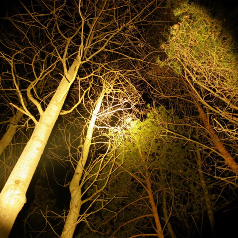 SD02W-0014__