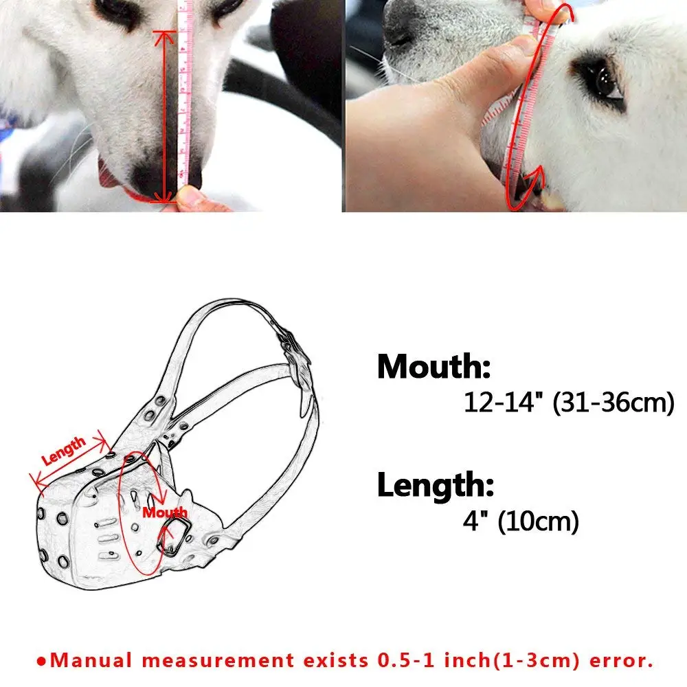 PM006-6