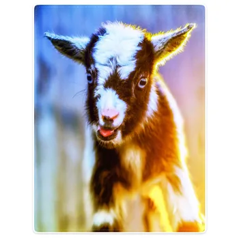 

HommomH Blanket Throw Comfort Warm Soft Plush Throw For Sofa Cute Little Sheep Colorful