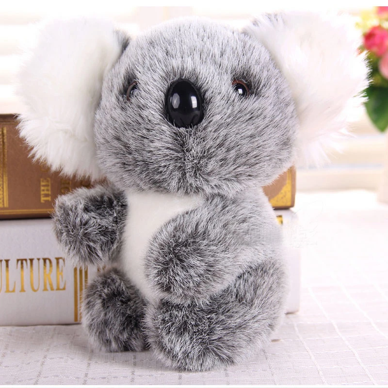 teddy bear koala