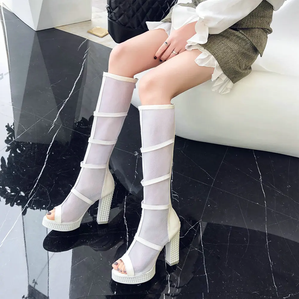 20190217 -M557 (10)