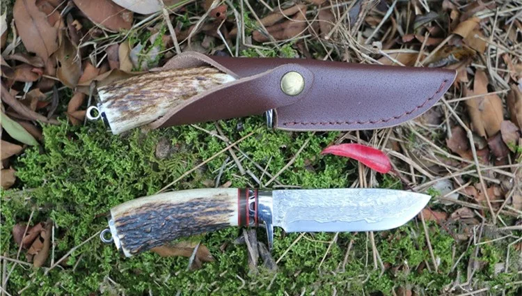 TB2ML3ZnpXXXXaqXXXXXXXXXXXX_!!2646315462