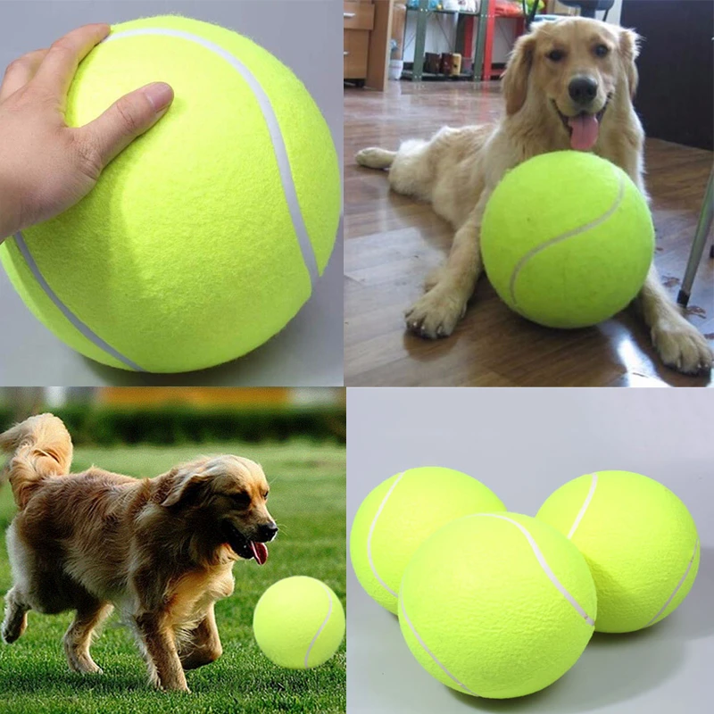 giant tennis ball for dogs