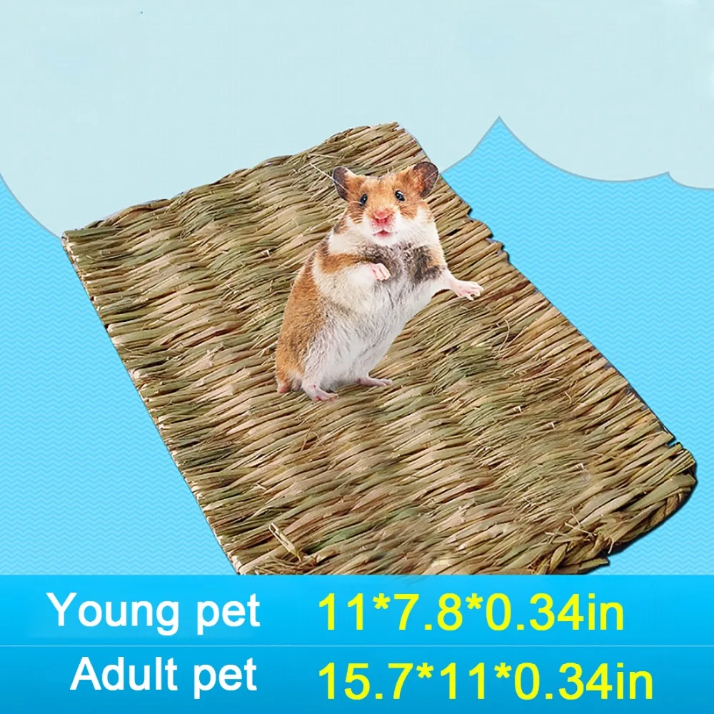 10147206892_1059498221