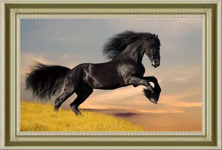 Rider Needlepoint Kit or Canvas Horse//Animal