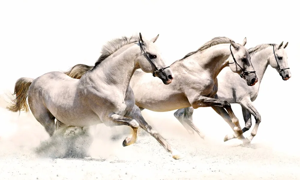 O3-Galloping-04(100x60cm)