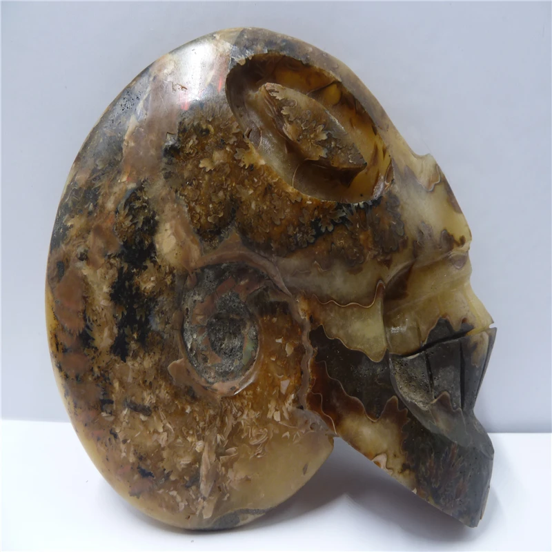 P1420121