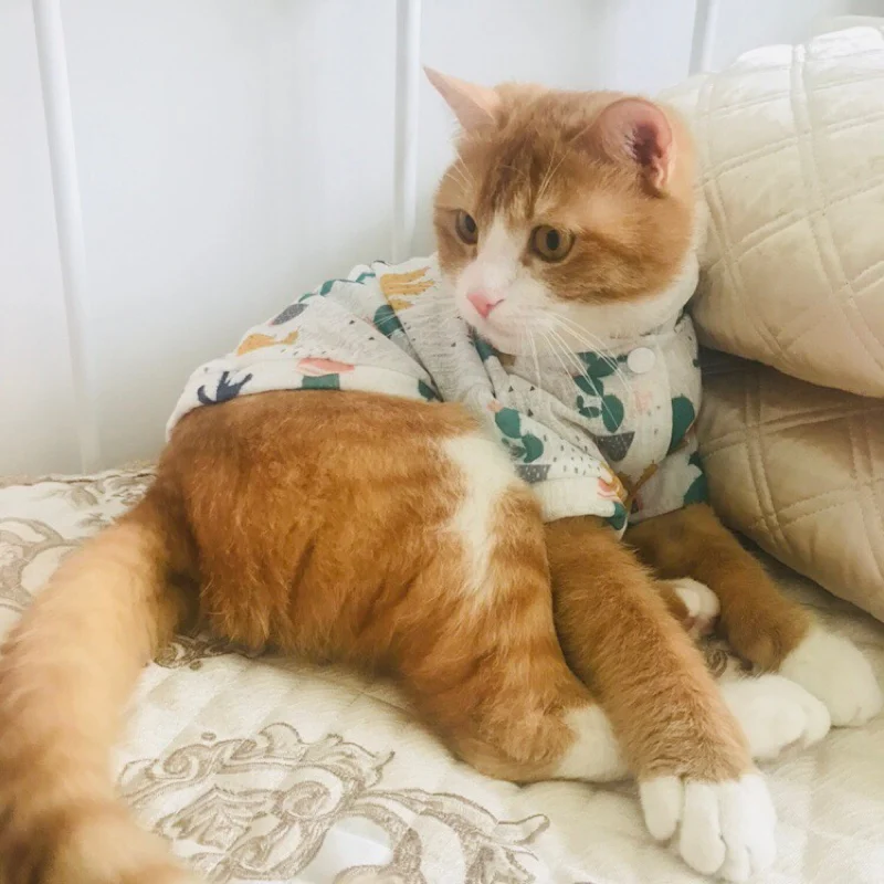 Летняя крутая солнцезащитная одежда для кошек, дышащая солнцезащитная одежда Kedi Katten, рубашка Mascotas Gato, костюм кошки