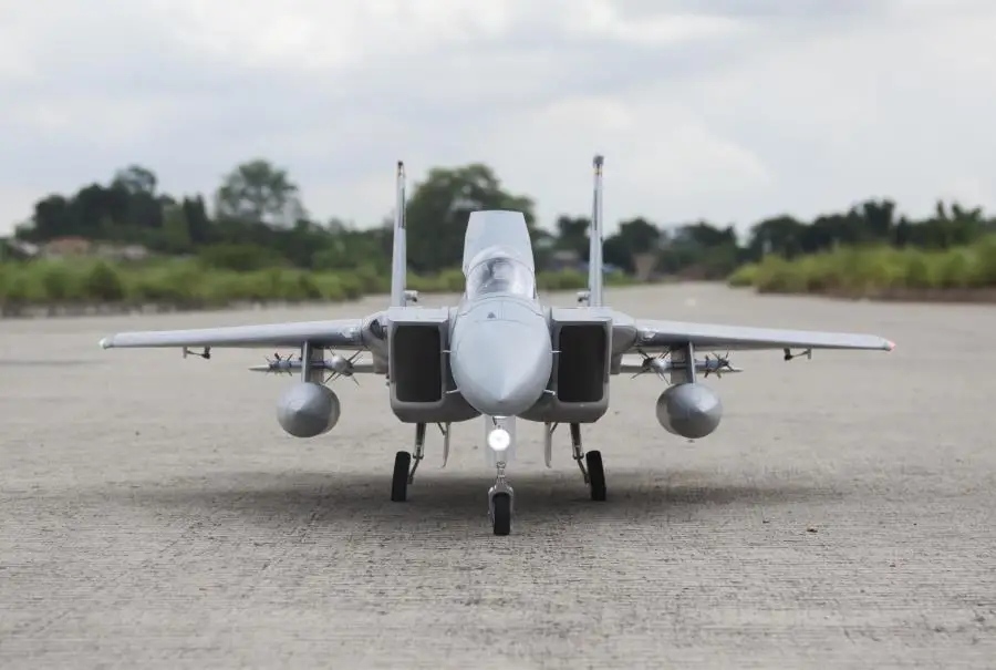 Buy Electric Remote control Freewing F15 F 15 90mm rc