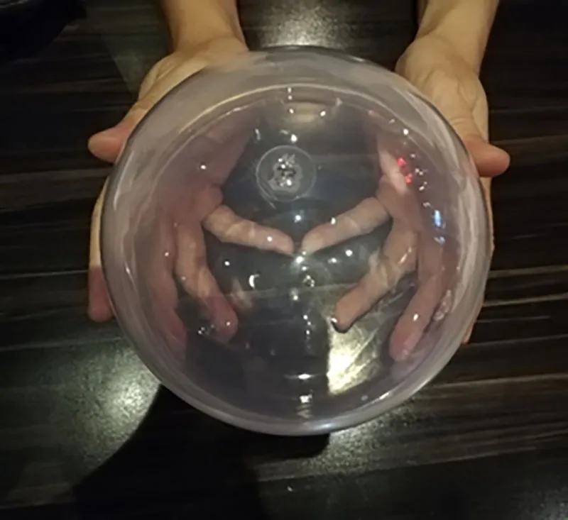 15cm capsule