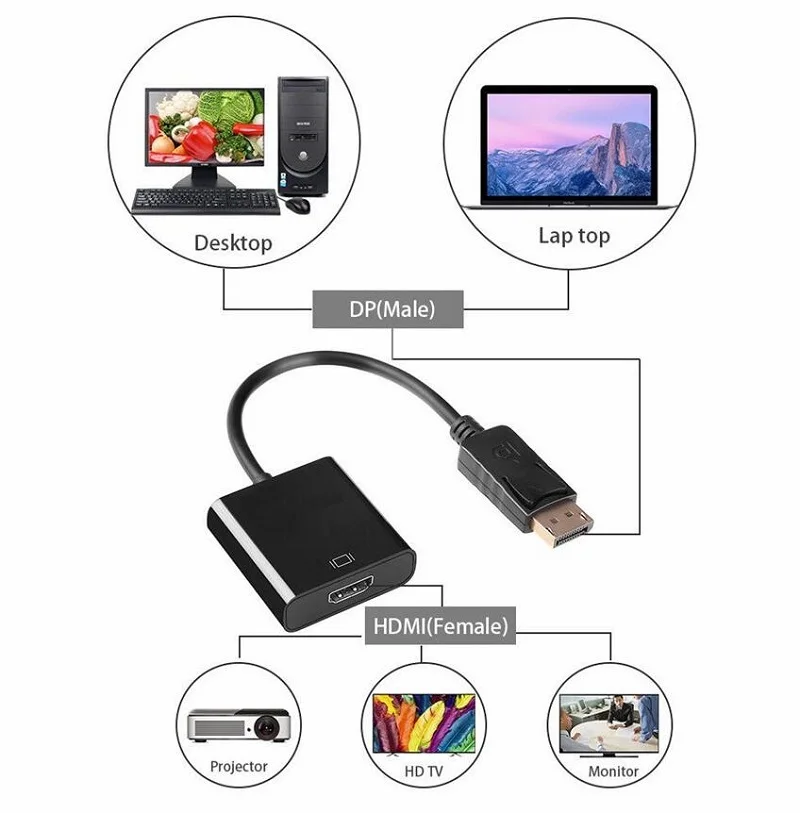 DP to HDMI 大 (4)