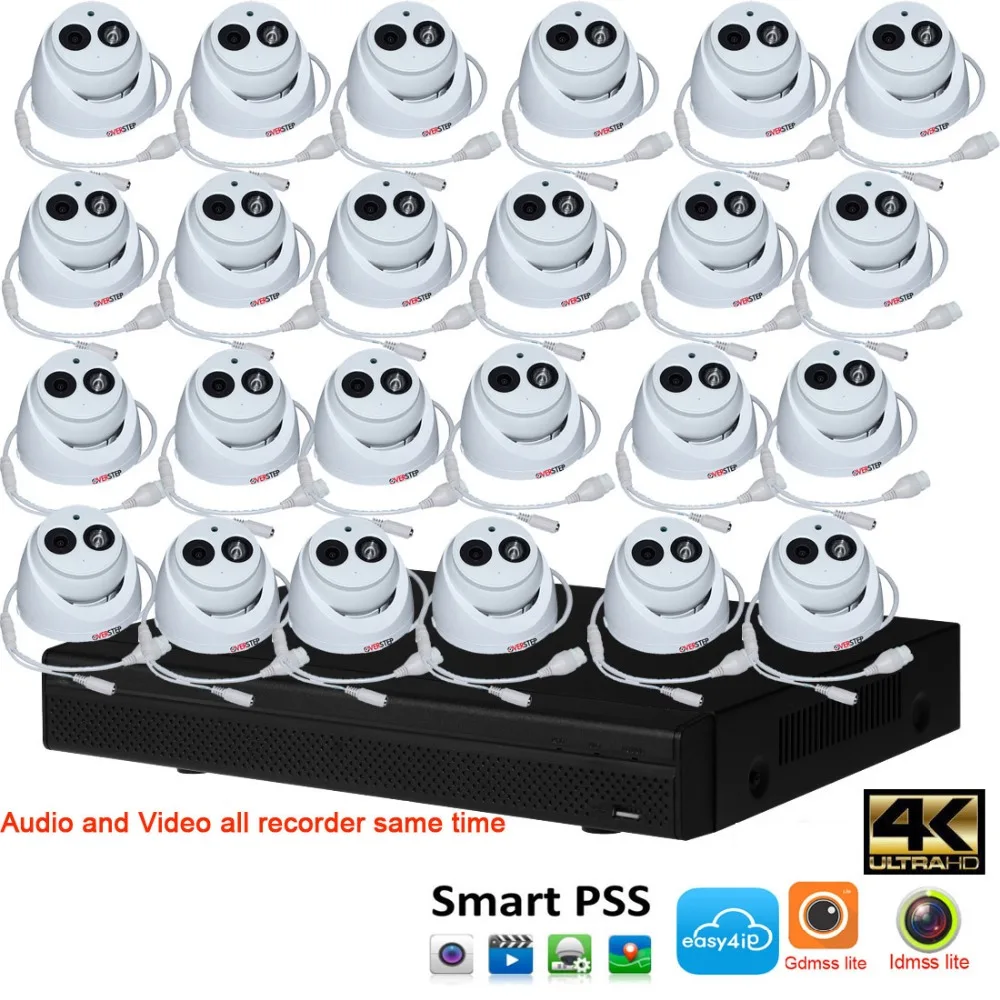 NVR4232-4KS2+Hdw4433c-1a