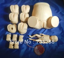 Childbirth Skills Training Simulator ,Senior Female Labor Skills Training Model