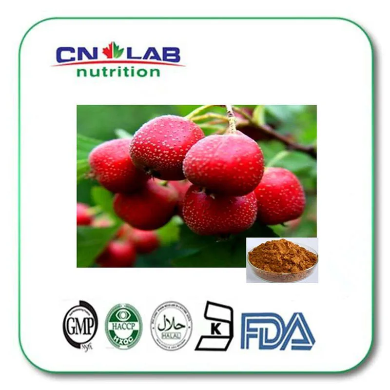 Hawthorn Berry Extract powder for Healthcare Product Hawthorn Berry Extract 4:1 powder 1000g chinese new harvest hawthorn extract hawthorn berry extract flavone 600g