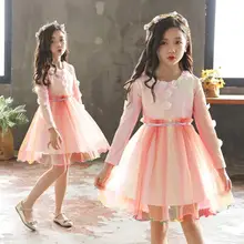 Платье с аппликацией для девочек; платье принцессы для вечеринки, дня рождения, свадьбы; кружевное фатиновое платье для маленьких девочек; детская одежда; платья для детей 2, 4 От 6 до 7 лет