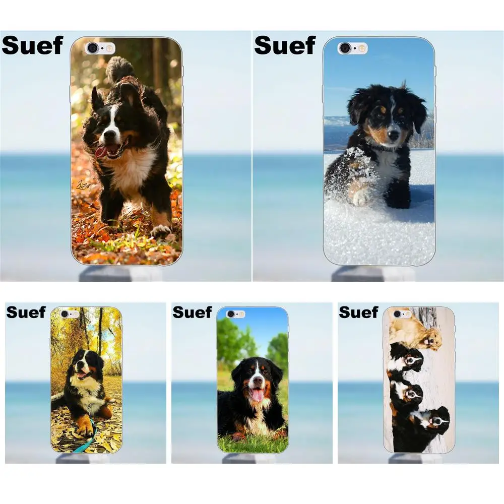 

Suef Bernese Mountain Dog For iPhone 4 4S 5 5S 5C SE 6 6S 7 8 Plus X Galaxy J1 J3 J5 J7 A3 A5 2016 2017 TPU Fashion