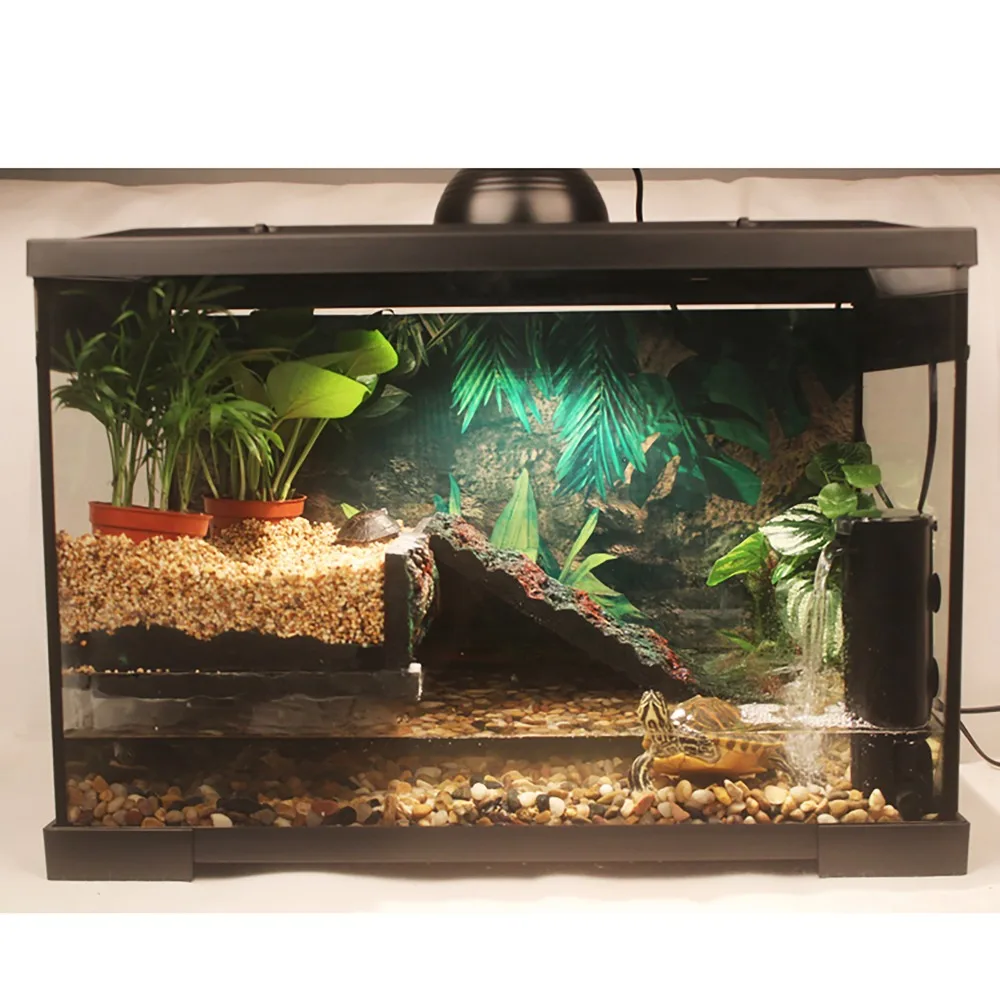 

Aquatic Turtle Tank Kit with Basking Platform Wire Mesh Lid Aquarium Vivarium Turtle Reptile Newt Salamander Frog with Filter