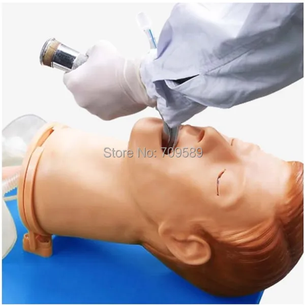 

ISO Multi-functional Airway Management Model, Endotracheal Intubation Trainer