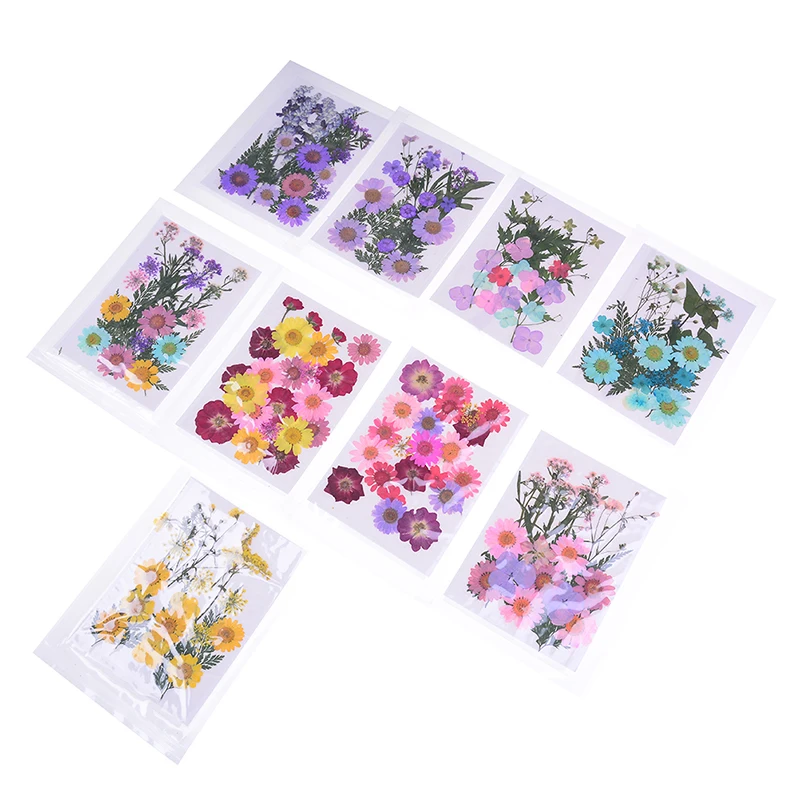 1 Pcs Beautiful Pressed Dried Flower Dry Plants For Epoxy Resin Pendant Necklace Jewelry Making Craft DIY Accessories|Инструменты и