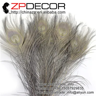 Zpdecor 50 pcslot 25-30 см(10-12 дюймов) галстук-бабочка с фабрики серый павлин украшения из перьев - Цвет: Grey Peacock Feather