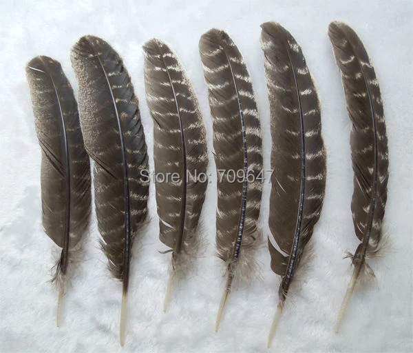 6 Pieces Red Turkey Round Wing Quill