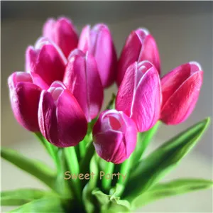 22 fuchsia-1