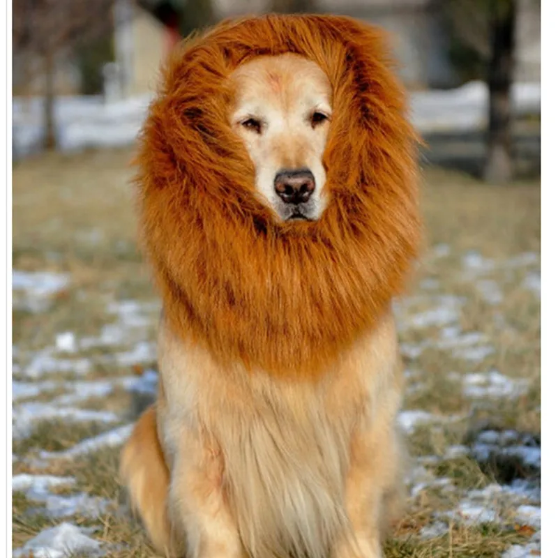Костюм для домашних питомцев, кошек, одежда на Хэллоуин, маскарадный парик с гривой льва для собак, праздничное платье 40 см x 38 см#03