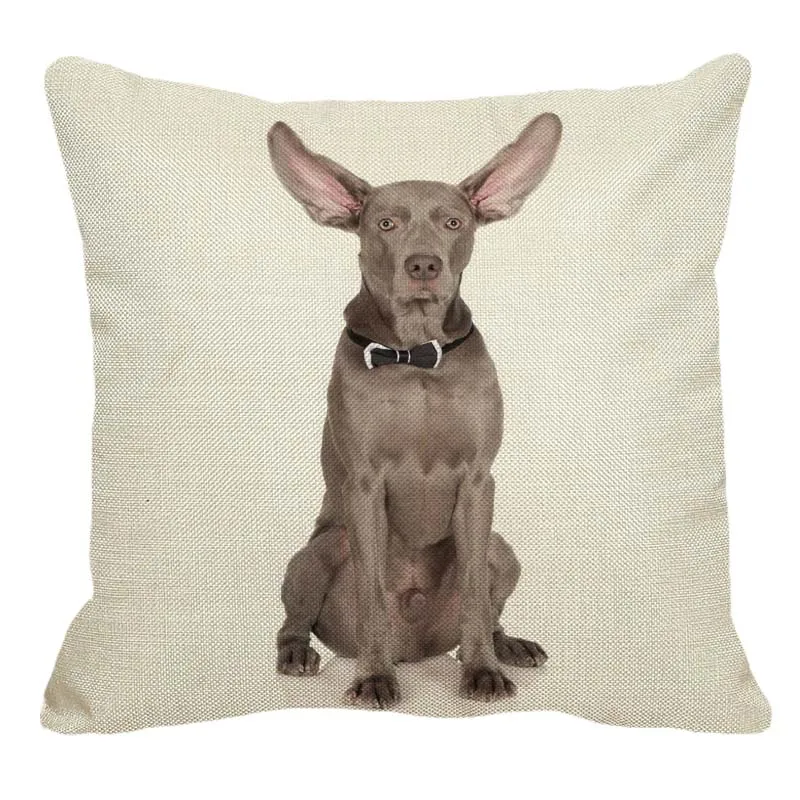 XUNYU/Милая льняная наволочка для дома с рисунком веймаранера, квадратная наволочка для дивана, наволочка для подушки для собак, 45X45 см, AC111