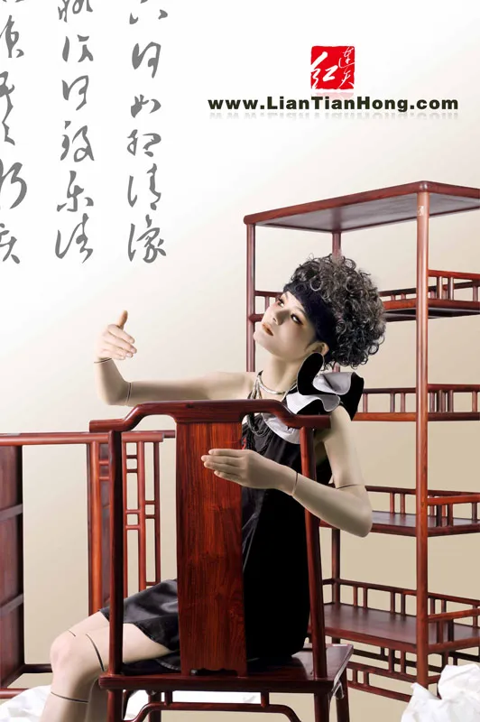 Storage Wood Bookcase Chinese classic Retro Book Stand Rack Rosewood Redwood Bookshelf Home Furniture Office Cupboard Locker set