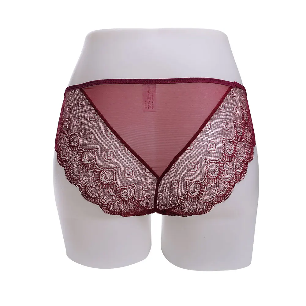 Sexy Peacock Lace Women's Panties: Ultra Thin, Low Rise Briefs in Transparent Fabric - M-XL Plus Size Lingerie. image 4