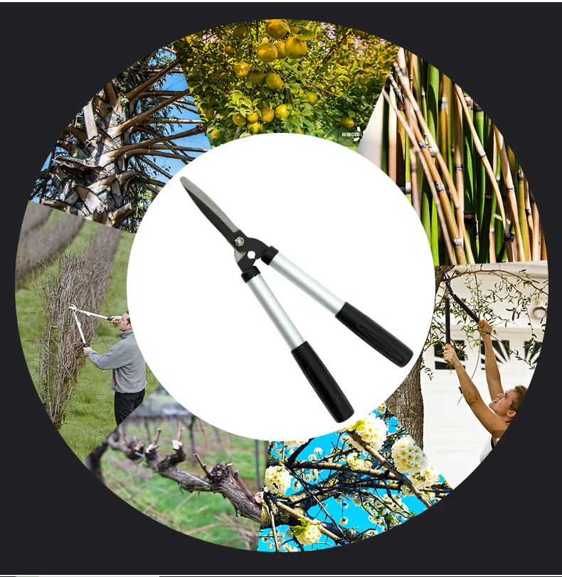 PP_02