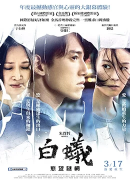 《白蚁：欲望谜网》2016年台湾剧情电影在线观看