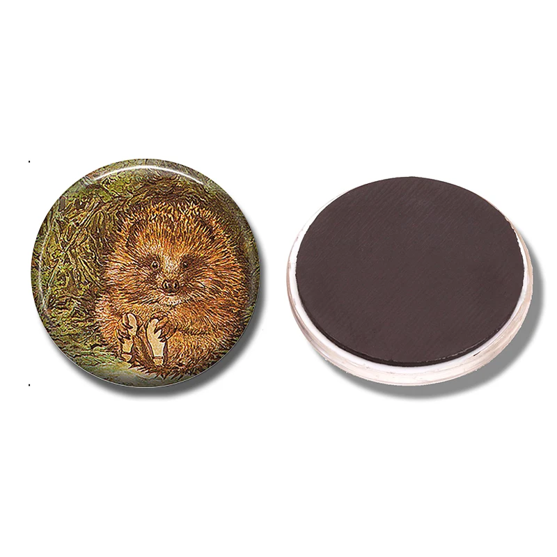 

Mr Pricklepin 30 MM Fridge Magnet Fairy Tale Cute Hedgehog Glass Cabochon Refrigerator Sticker Beatrix Potter Note Holder Home